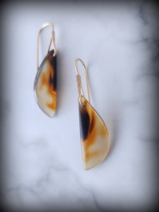 14k Gold Picture Agate Wing Earrings
