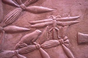 Anciet Egyptian Dragonfly carved in bas relief