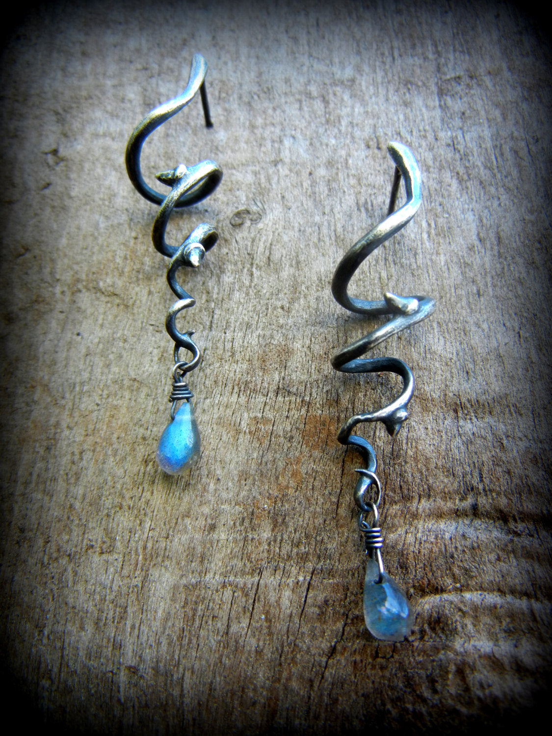 Rainforest Spiral Vine Earrings in Sterling
