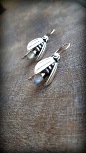 Sterling Moonstone Firefly Earrings, Phaussis Reticulata
