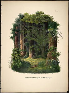 Rainforest verdant greens, and deep shadows